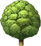 Picto Arbre